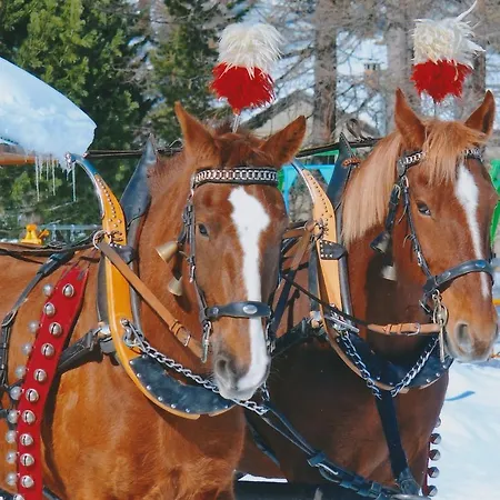 Chesa Cantieni * St. Moritz